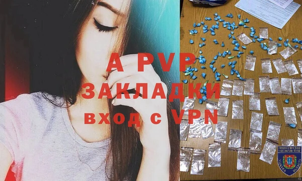 гидра Белокуриха