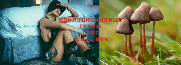 MDMA Premium VHQ Беломорск