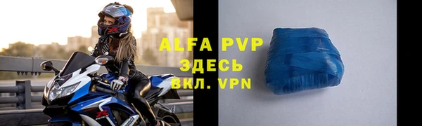гидра Белокуриха