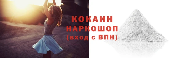 гидра Белокуриха